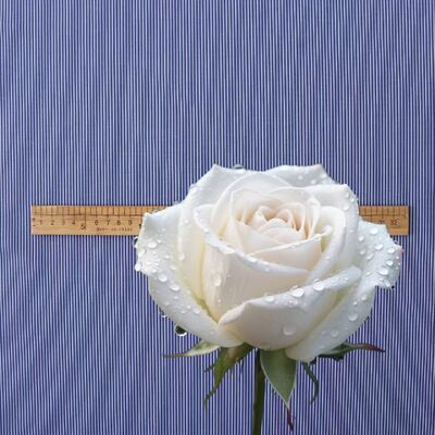 نسيج قماش طويل الأمد من الخيط القطني الملوّن للقمصان الرسمية 110 غرام